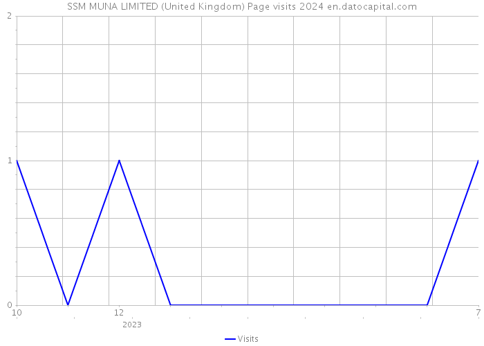 SSM MUNA LIMITED (United Kingdom) Page visits 2024 