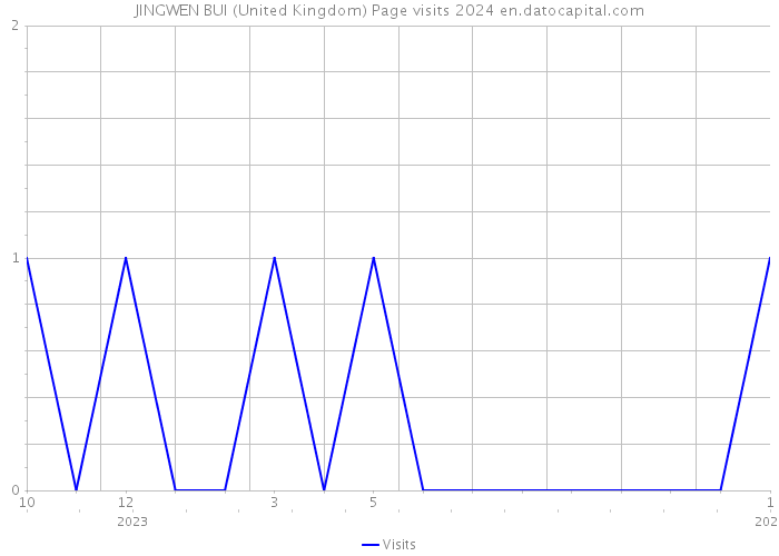JINGWEN BUI (United Kingdom) Page visits 2024 