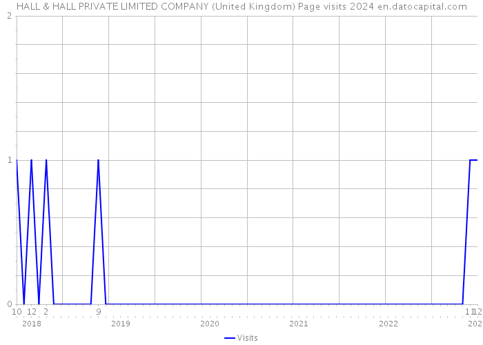 HALL & HALL PRIVATE LIMITED COMPANY (United Kingdom) Page visits 2024 