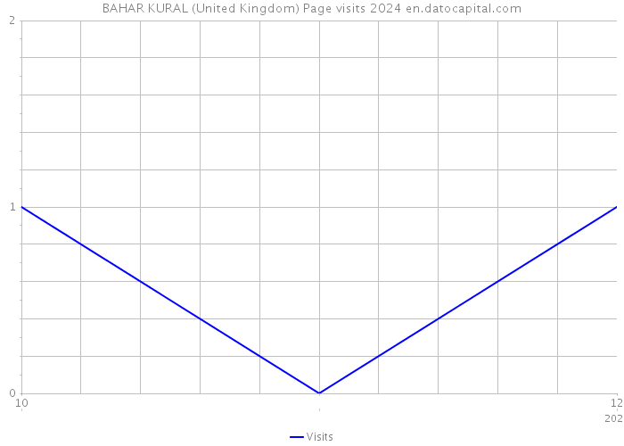 BAHAR KURAL (United Kingdom) Page visits 2024 