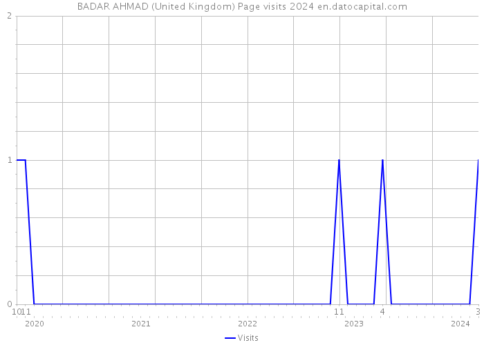 BADAR AHMAD (United Kingdom) Page visits 2024 