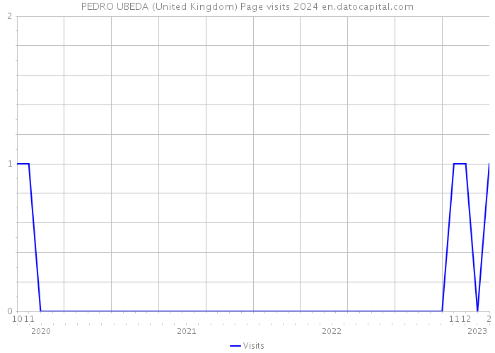 PEDRO UBEDA (United Kingdom) Page visits 2024 