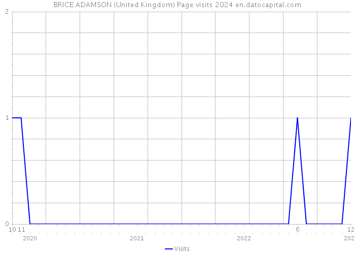 BRICE ADAMSON (United Kingdom) Page visits 2024 