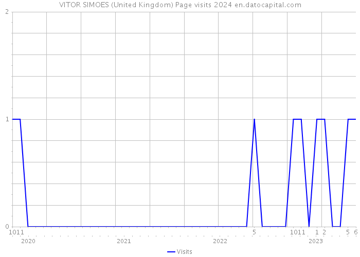 VITOR SIMOES (United Kingdom) Page visits 2024 