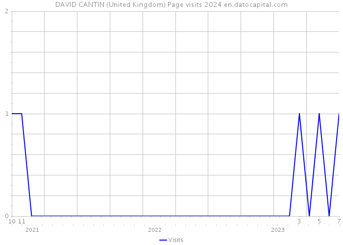 DAVID CANTIN (United Kingdom) Page visits 2024 