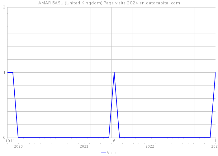AMAR BASU (United Kingdom) Page visits 2024 