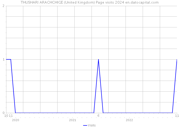 THUSHARI ARACHCHIGE (United Kingdom) Page visits 2024 