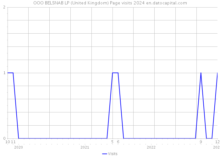 OOO BELSNAB LP (United Kingdom) Page visits 2024 