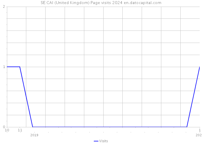 SE CAI (United Kingdom) Page visits 2024 