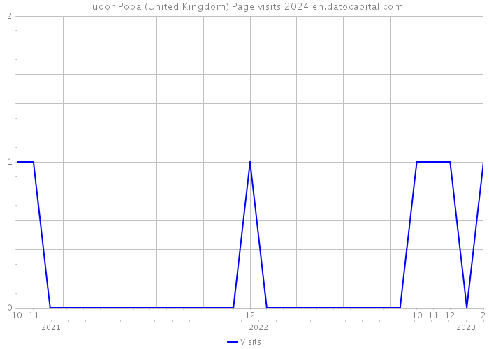 Tudor Popa (United Kingdom) Page visits 2024 