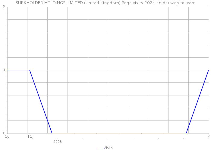 BURKHOLDER HOLDINGS LIMITED (United Kingdom) Page visits 2024 