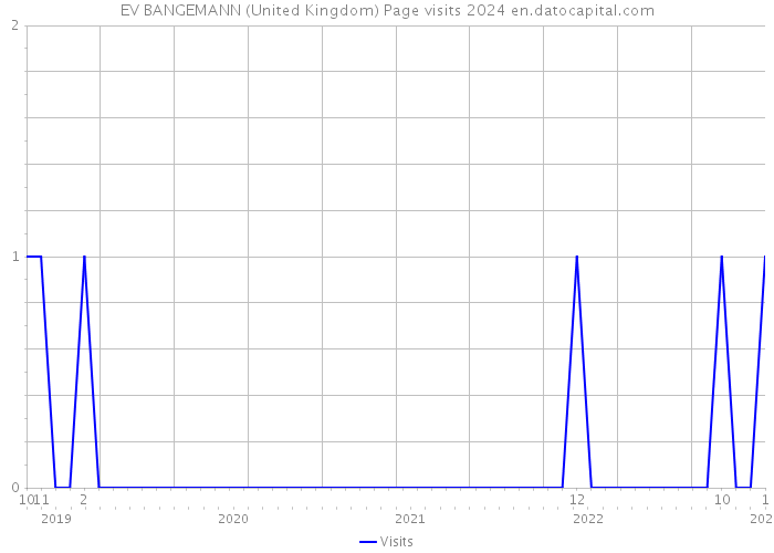 EV BANGEMANN (United Kingdom) Page visits 2024 