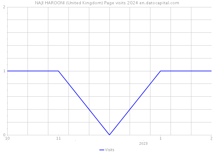 NAJI HAROONI (United Kingdom) Page visits 2024 