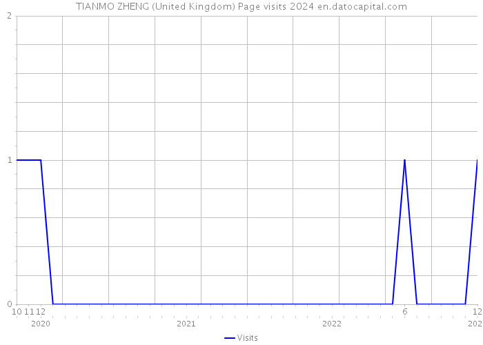 TIANMO ZHENG (United Kingdom) Page visits 2024 