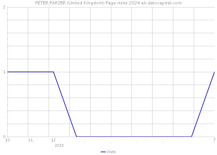 PETER PARZER (United Kingdom) Page visits 2024 