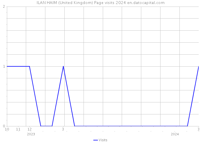 ILAN HAIM (United Kingdom) Page visits 2024 