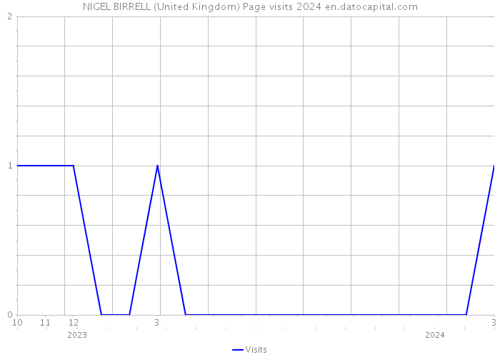 NIGEL BIRRELL (United Kingdom) Page visits 2024 