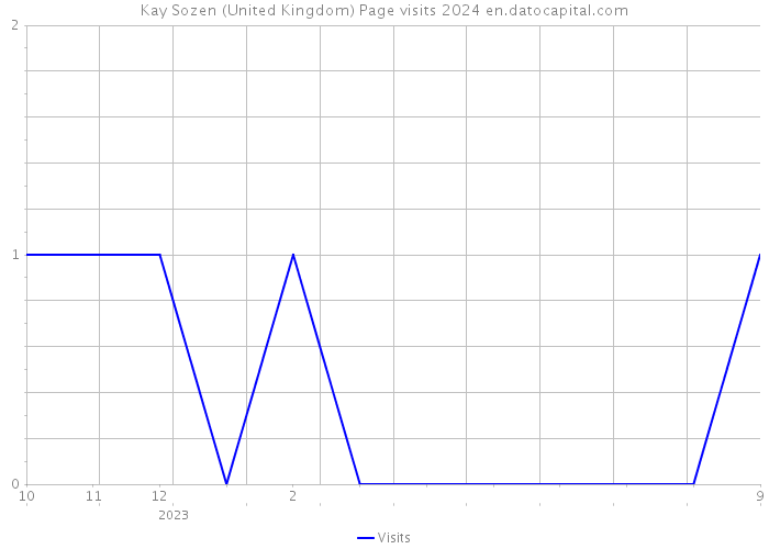 Kay Sozen (United Kingdom) Page visits 2024 