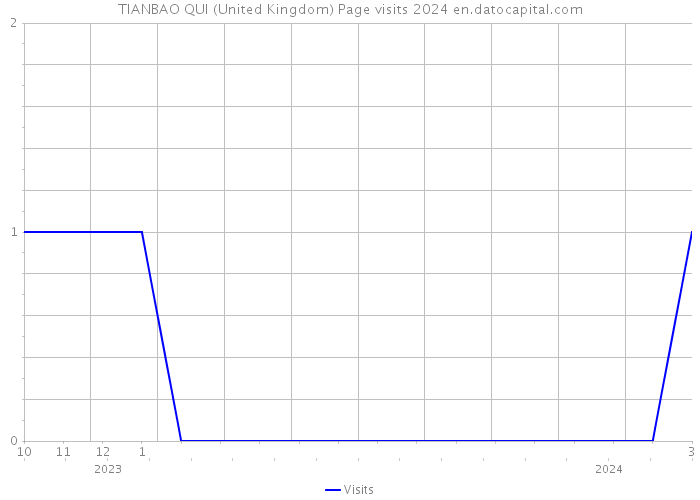 TIANBAO QUI (United Kingdom) Page visits 2024 