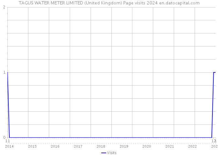 TAGUS WATER METER LIMITED (United Kingdom) Page visits 2024 