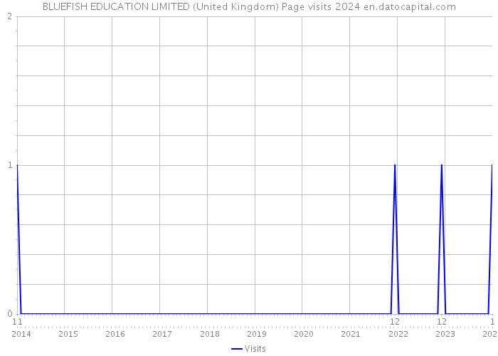BLUEFISH EDUCATION LIMITED (United Kingdom) Page visits 2024 
