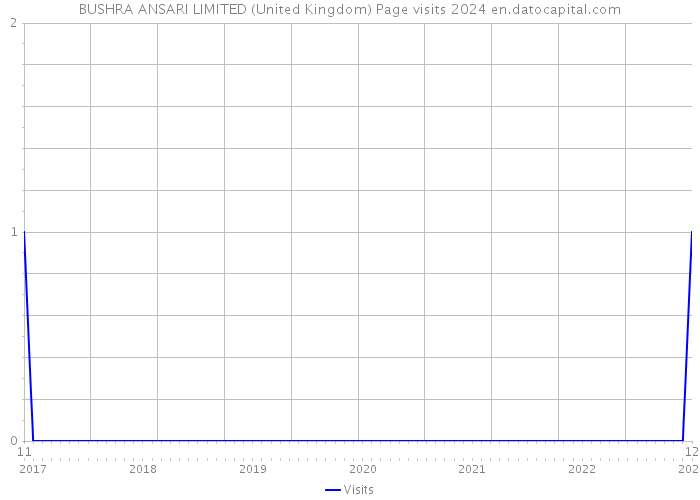 BUSHRA ANSARI LIMITED (United Kingdom) Page visits 2024 