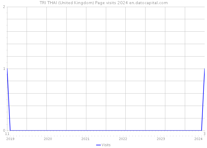 TRI THAI (United Kingdom) Page visits 2024 