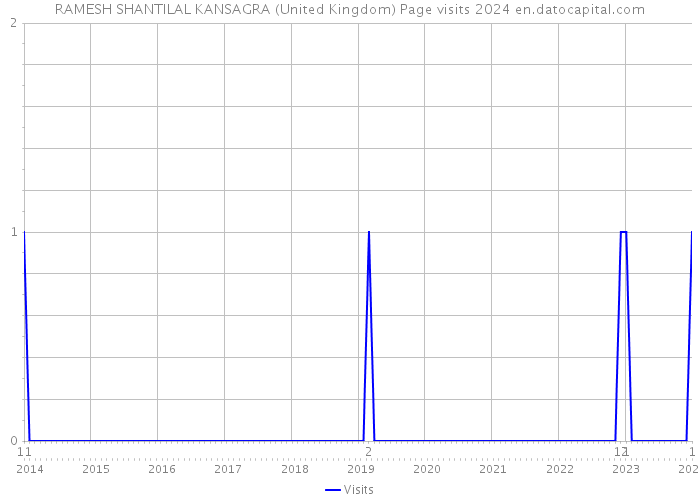 RAMESH SHANTILAL KANSAGRA (United Kingdom) Page visits 2024 