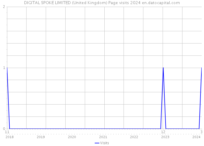 DIGITAL SPOKE LIMITED (United Kingdom) Page visits 2024 
