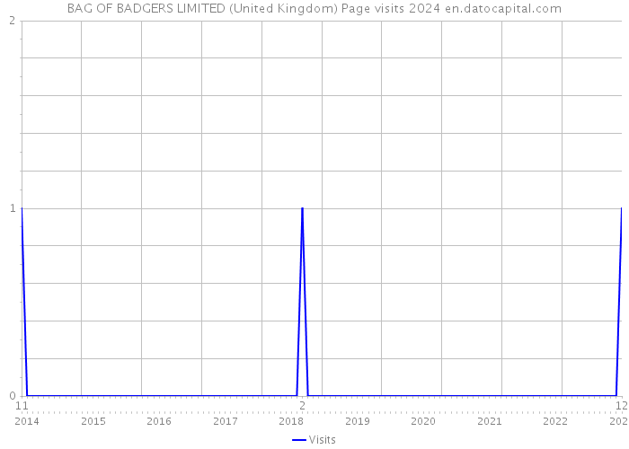 BAG OF BADGERS LIMITED (United Kingdom) Page visits 2024 
