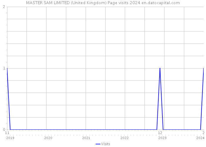 MASTER SAM LIMITED (United Kingdom) Page visits 2024 
