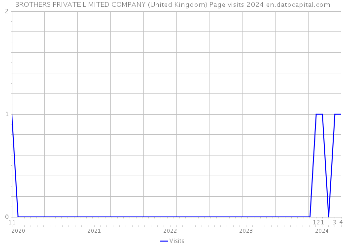 BROTHERS PRIVATE LIMITED COMPANY (United Kingdom) Page visits 2024 