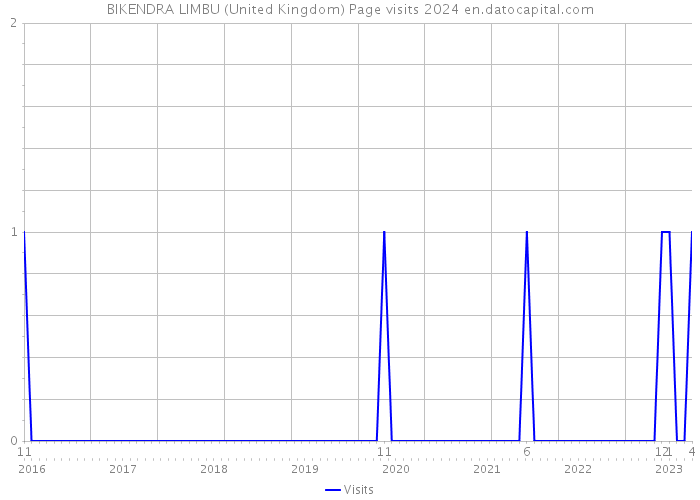 BIKENDRA LIMBU (United Kingdom) Page visits 2024 