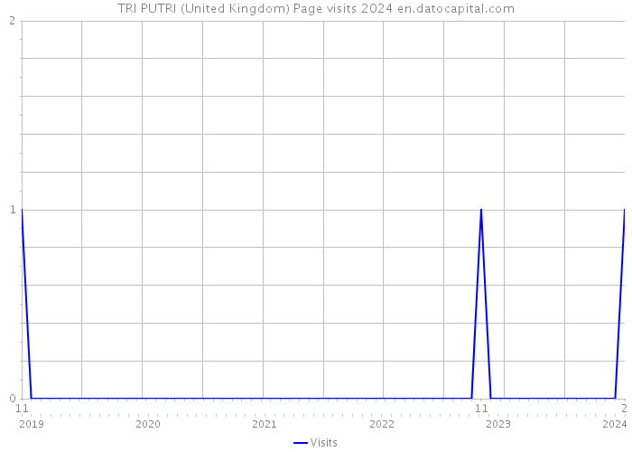 TRI PUTRI (United Kingdom) Page visits 2024 