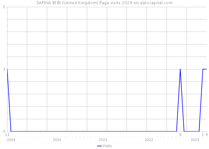 SAFINA BI BI (United Kingdom) Page visits 2024 