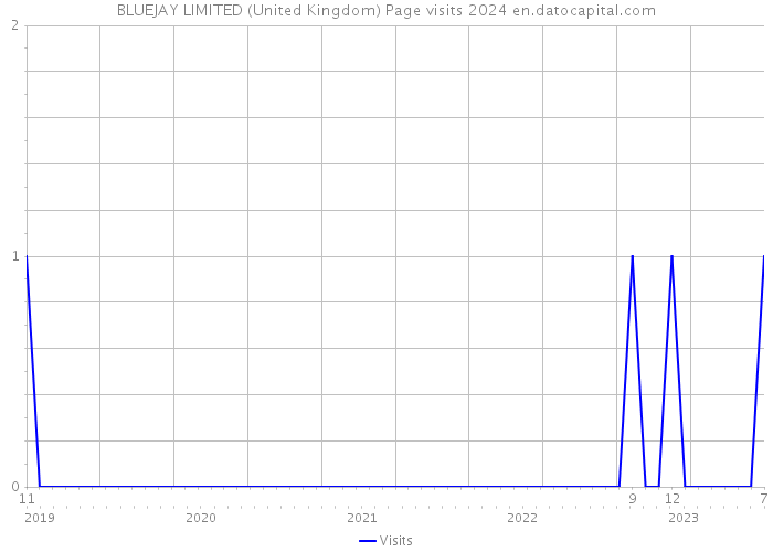 BLUEJAY LIMITED (United Kingdom) Page visits 2024 
