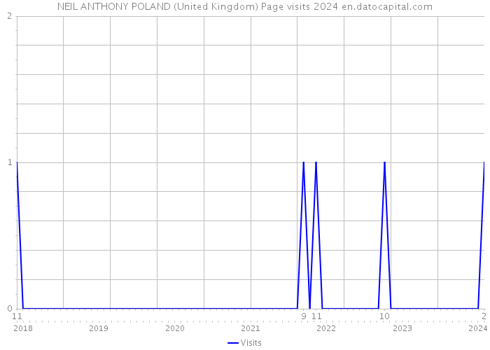 NEIL ANTHONY POLAND (United Kingdom) Page visits 2024 