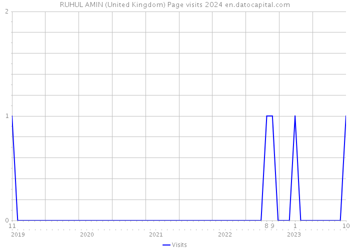 RUHUL AMIN (United Kingdom) Page visits 2024 