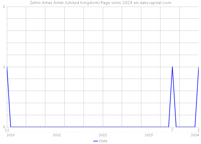 Zehni Amet Amet (United Kingdom) Page visits 2024 