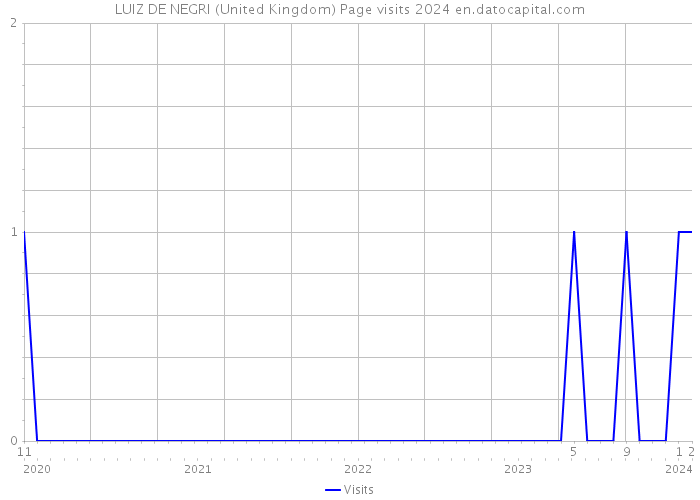 LUIZ DE NEGRI (United Kingdom) Page visits 2024 