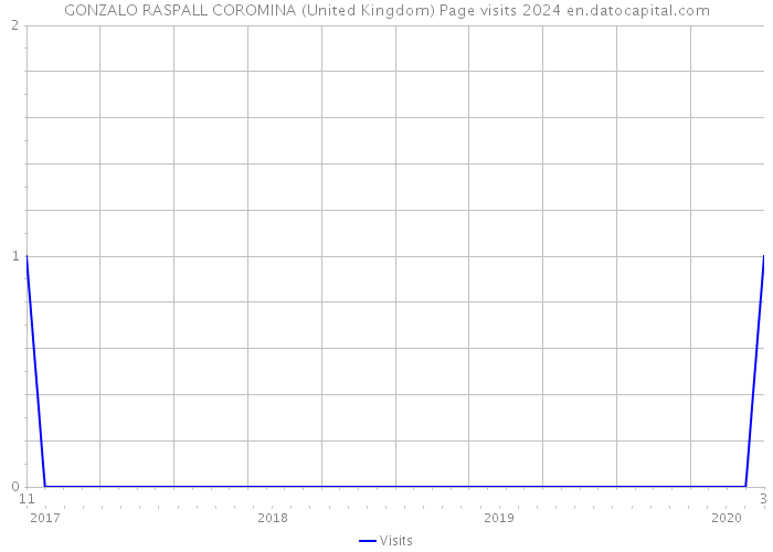 GONZALO RASPALL COROMINA (United Kingdom) Page visits 2024 
