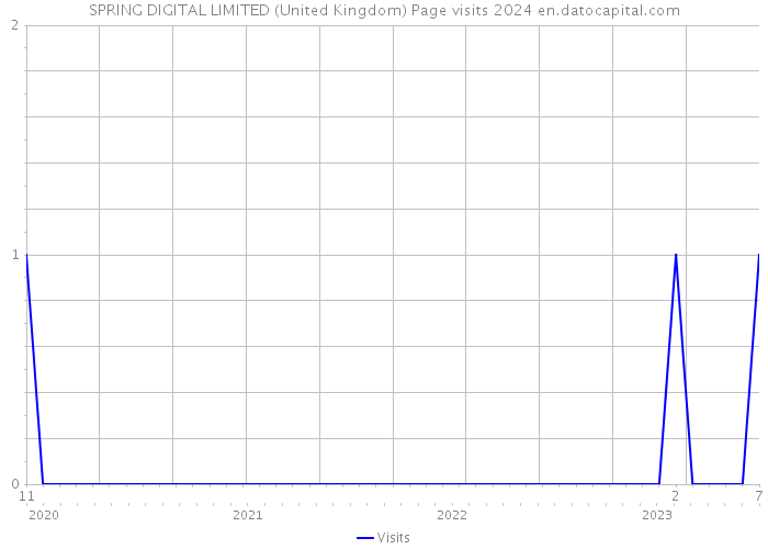 SPRING DIGITAL LIMITED (United Kingdom) Page visits 2024 