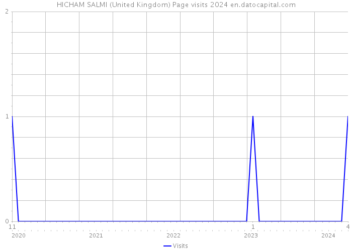 HICHAM SALMI (United Kingdom) Page visits 2024 