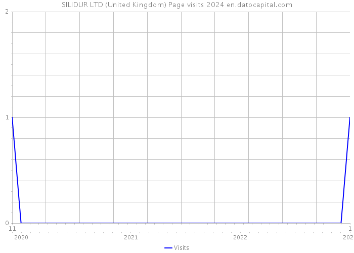 SILIDUR LTD (United Kingdom) Page visits 2024 