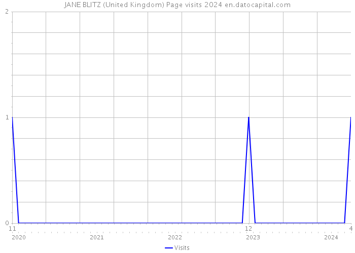 JANE BLITZ (United Kingdom) Page visits 2024 