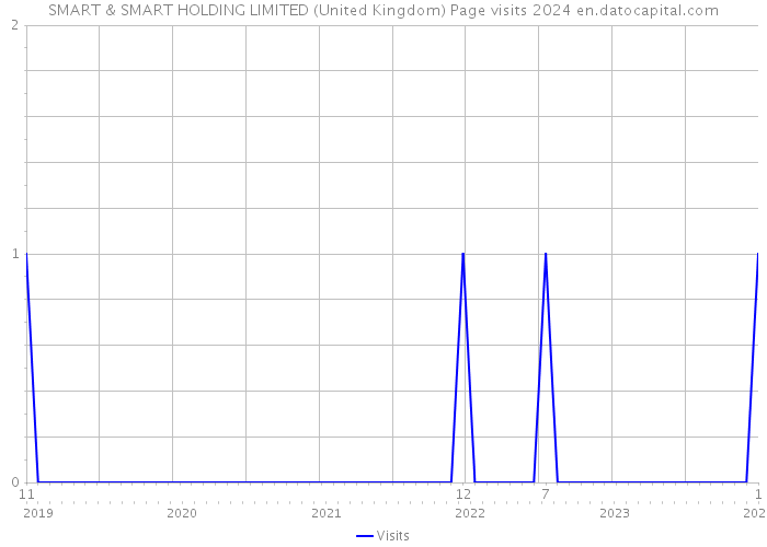 SMART & SMART HOLDING LIMITED (United Kingdom) Page visits 2024 