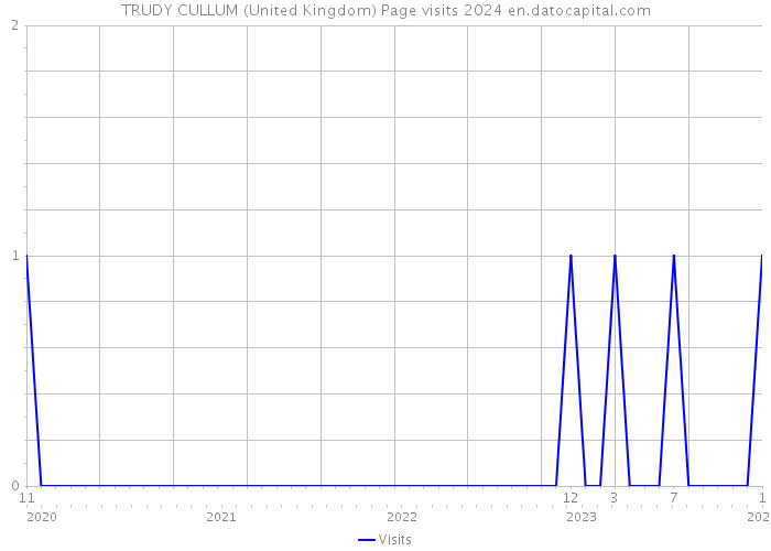 TRUDY CULLUM (United Kingdom) Page visits 2024 
