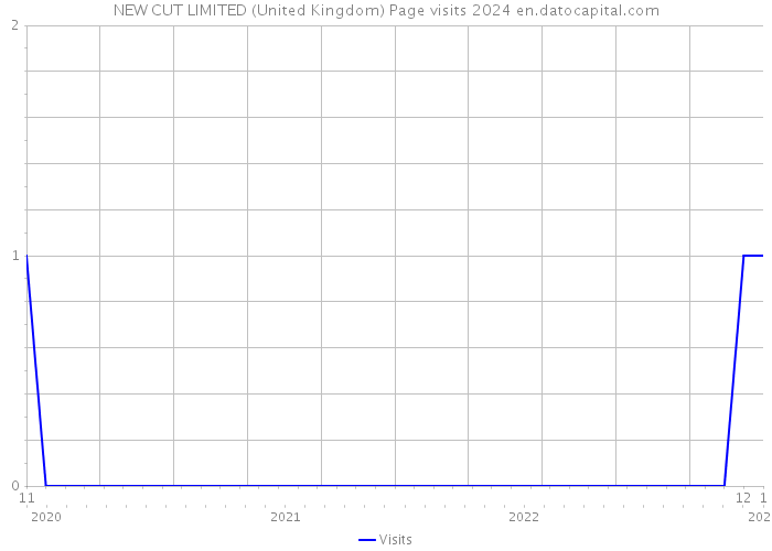NEW CUT LIMITED (United Kingdom) Page visits 2024 