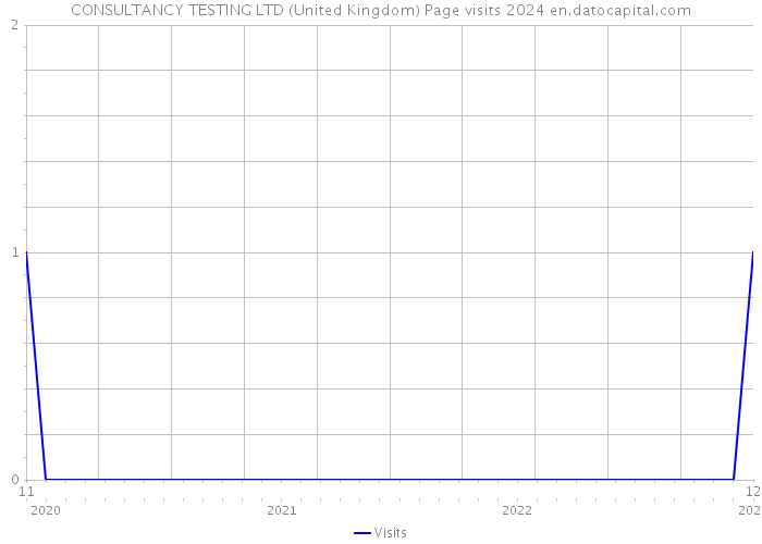 CONSULTANCY TESTING LTD (United Kingdom) Page visits 2024 