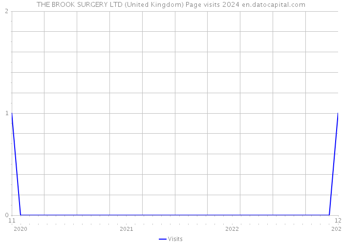 THE BROOK SURGERY LTD (United Kingdom) Page visits 2024 